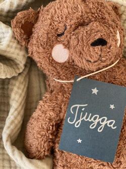 Night bear Tjugga teddy