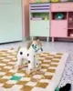 Kids Concept  - Pull Along-hesten PIPPI